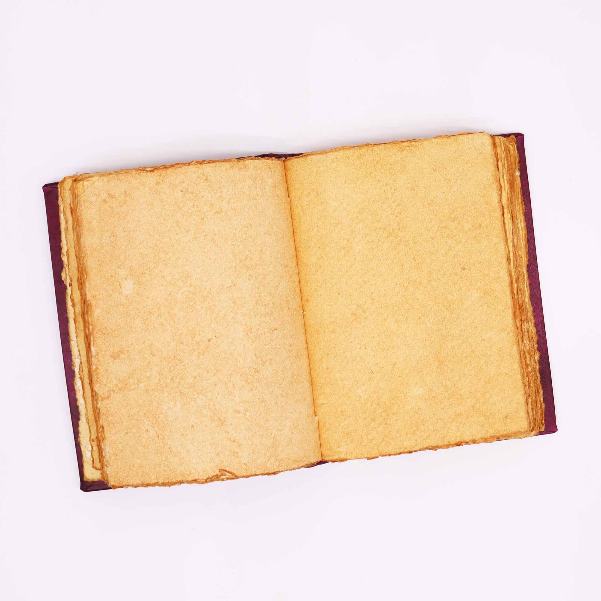 Divine Ink – Il Diario della Dea