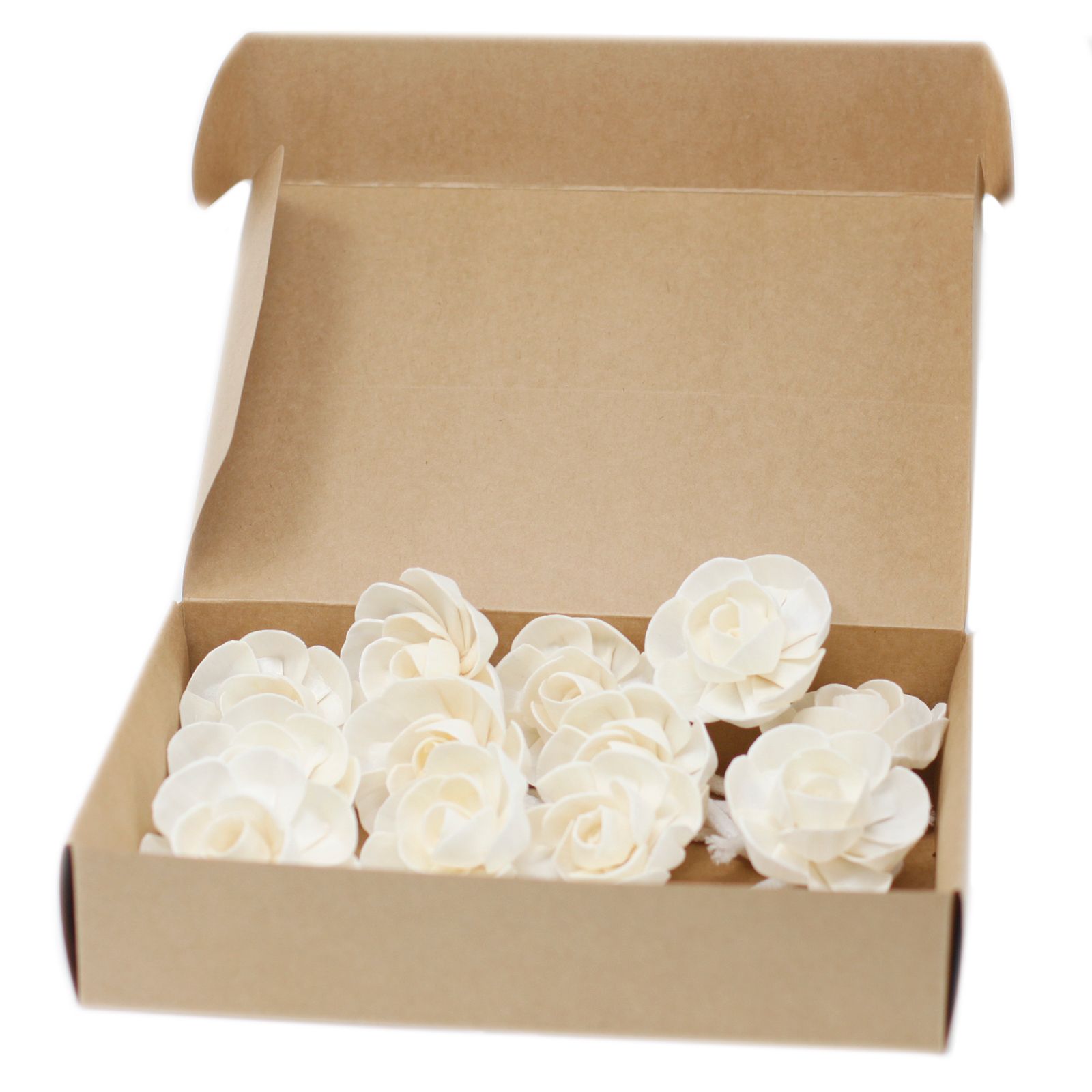 🌸 Fiore Diffusore Naturale – Lotus su Stringa
